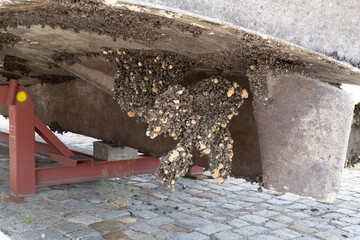Muschelbewuchs Antifouling Werder Havel Großer Zernsee Vulkanwerft