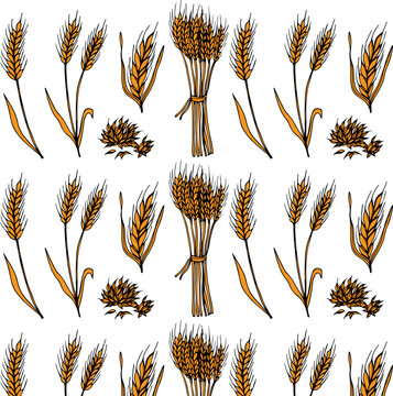 Vector seamless pattern illustration of ears of wheat. Hand drawn bakery background. Whole grain, natural, organic background for baked goods, baked goods.