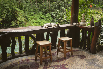 A pet cat sleeping on a wooden balcony overlooking a river and the forest of Bukit Lawang North Sumatra, Indonesia