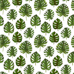 monstera leaves, tropical print. seamless pattern on a white background for wedding, package design, fabric and fashion. - 495095442