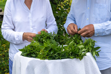 Farmers knit bouquets of greenery and mint