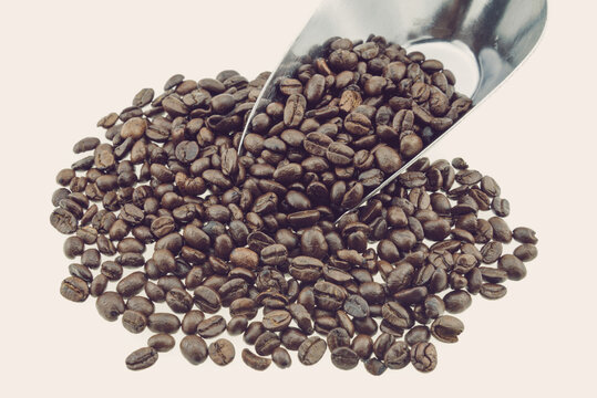 Dark coffee bean roasting with metal spoon. Coffee drink and cafe concept.