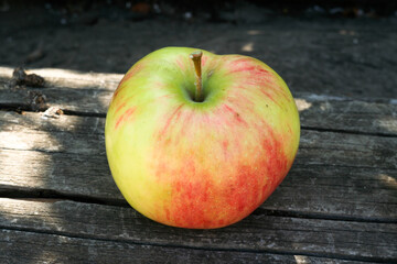 A single fresh red green apple on old wooden background in sunny day, close-up. Still life from ripe apple for publication, poster, calendar, post, wallpaper, postcard, banner, cover, website