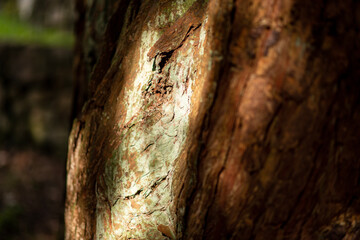 light and shadow on jar