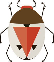 Beetle or Bug Colored Illustration