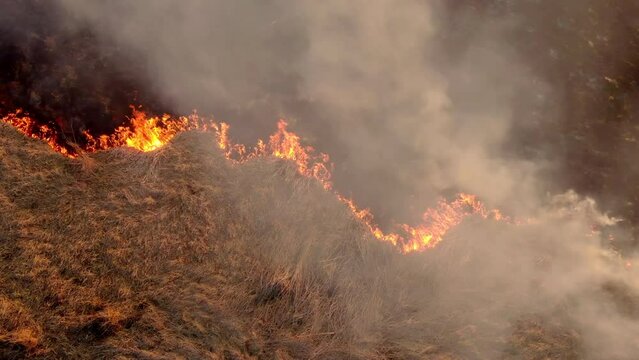 Aerial top view of a grass fire. Fly over Wild fire. Flying above burnt field. Environmental issues. Ecology concept. California wildfires. Fire in united states of America