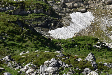 landscape with rocks