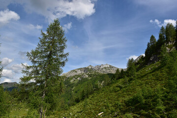mountains in the mountains