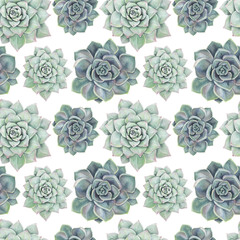 Seamless watercolor pattern with succulents