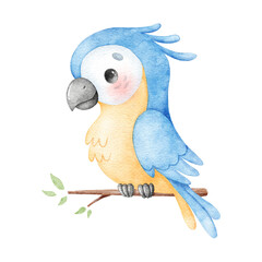 Watercolor illustration of a cartoon parrot. Tropical birds. Cute watercolor animals.