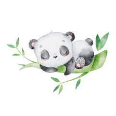 Watercolor illustration of a cartoon panda sleeping. Cute animals.
