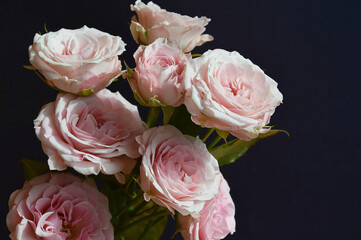background for the design of holidays, valentine's day, birthday, March 8. a bouquet of flowers. beautiful pink roses.