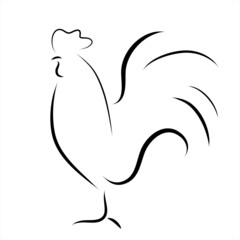 Vector illustration of rooster painted with simple lines. Symbol of poultry and farm animal.