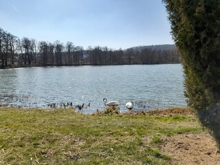 Der Schloßteich in Rottleberode im Südharz