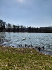 Der Schloßteich in Rottleberode im Südharz
