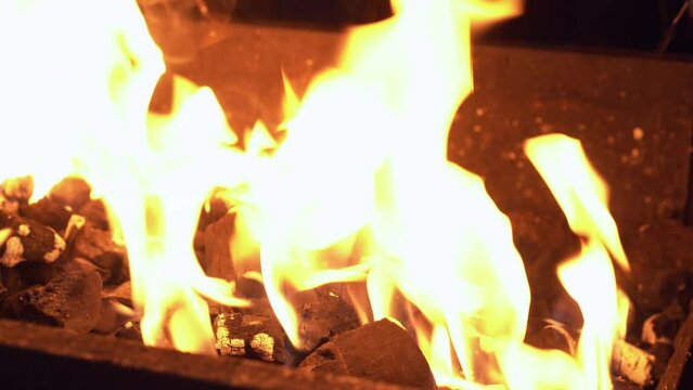 Spicy Chicken Wings Being Grilled Over Bright Glowing Coals of Night Time Broasting On Fire. Night Party Barbecue. Outdoor Cooking. Cook Prepares Oriental Dish In Kitchen. Junk Food, Healthy Lifestyle