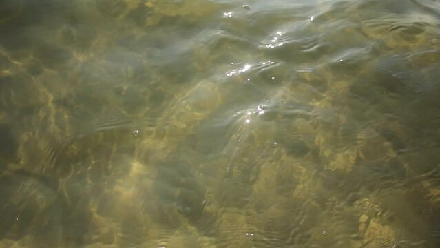 Sun Shine Over The sea water surface and ripples. summer background