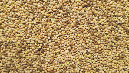 Top view of natural dry seeds macro flat screen close up texture background