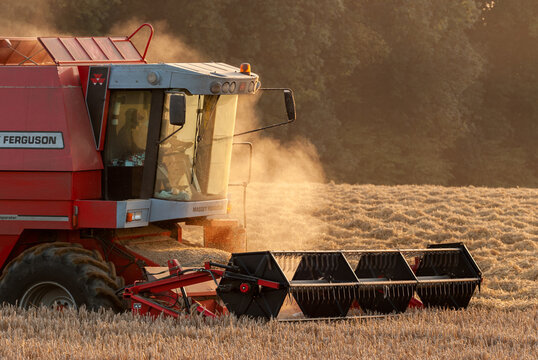 Moisson bl&eacute; en soir&eacute;e. Contre-jour sur la moissonneuse avec soleil couchant