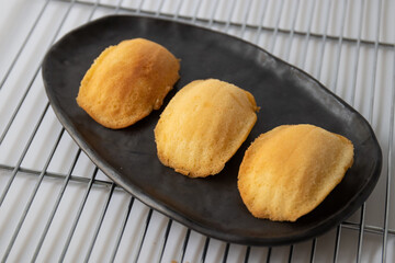 Close up French Traditional cake , Madeleine