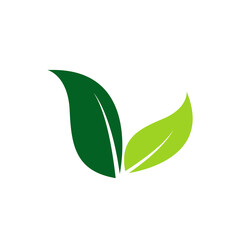 Fototapeta premium A green Leaf round abstract plant design, natural green leaf for bio symbol or icon on white background, vector, illustration.