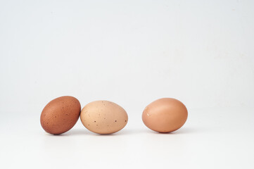 eggs