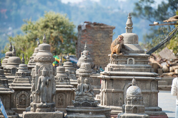 Fototapeta na wymiar Kathmandu, Nepal- April 20,2019 : Buddhist Swayambhunath Temple (monkey temple) UNESCO World Heritage Site.