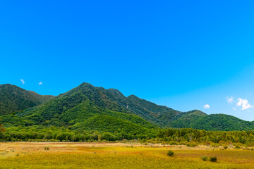 Fototapeta premium 日光国立公園 小田代ヶ原