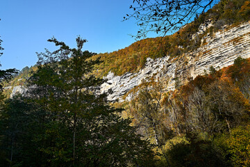 Autumn in the mountains. Autumn sunny day.