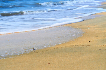Sand beach. Sea shore. Sunny day.
