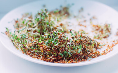 Seeds soaked in water. Preparation of seeds for germination at home and microgreen cultivation.
Vegan raw food, healthy eating.