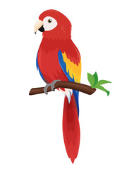 枝にとまったアカコンゴウインコのイラスト