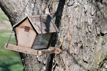 Bird Feeder