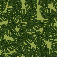 Monstera leaf seamless pattern.Vintage tropical branch in engraving style.