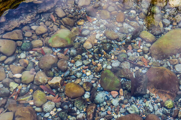 Stones in river water as background. Water in the river.