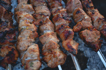 Shashlyk preparing on a barbecue grill over charcoal