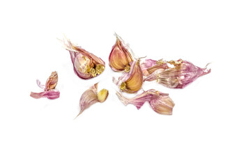 Garlic and garlic peel on a white background