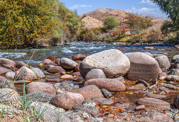 Stones in a mountain river. landscape. selective focus