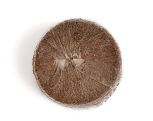 Seedling peat tablets isolated on white background