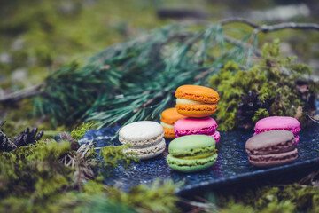 Colorful and sweet cookies , vintage cup and decorations in the forest