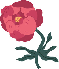 Romantic Peony Flower Colored Illustration