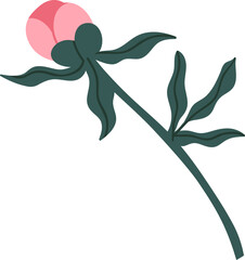 Peony Flower Bud on Stem with Green Leaves Colored Illustration © Good Studio