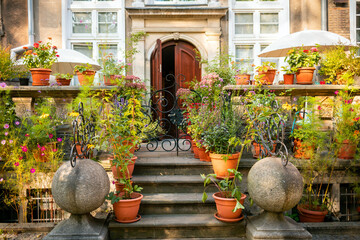 Cozy city garden in a narrow street next to the tenement house
