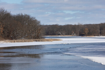 River with water fowl after fresh snow