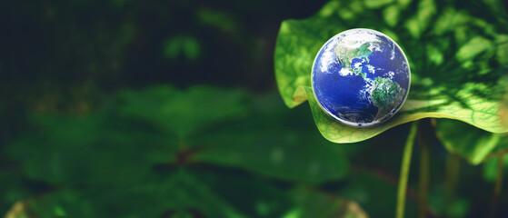 Earth at the edge of green leaf lotus plant on natural dark background ,sustainable and environmental nature for our world concept, Elements of this image furnished by NASA