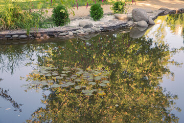 Pond in a landscape park with koi