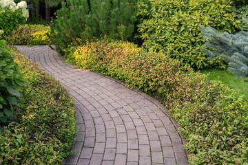 Paved alley in the park among the bushes and trees. Landscaping.