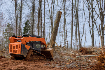 Skid-steer loader clearing tree root and brush in forest © ungvar