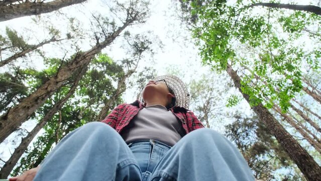 Low angle view of a happy hipster woman in straw hat and red plaid shirt is sitting under pine trees and enjoying nature. Happy Asian female traveler sightseeing in pine tree garden.