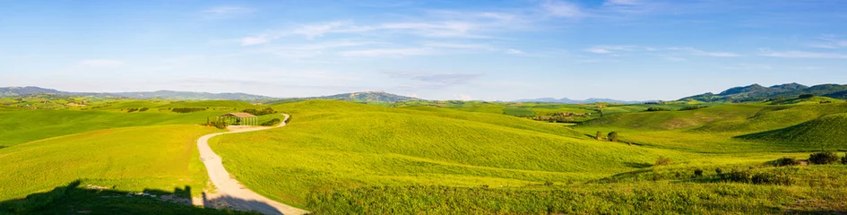 Fotobehang Honing Country road crossing unique green landscape in Volterra Valley, Tuscany, Italy. Scenic dramatic sky over cultivated hill range and cereal crop fields. Toscana, Italia.  © fabio lamanna